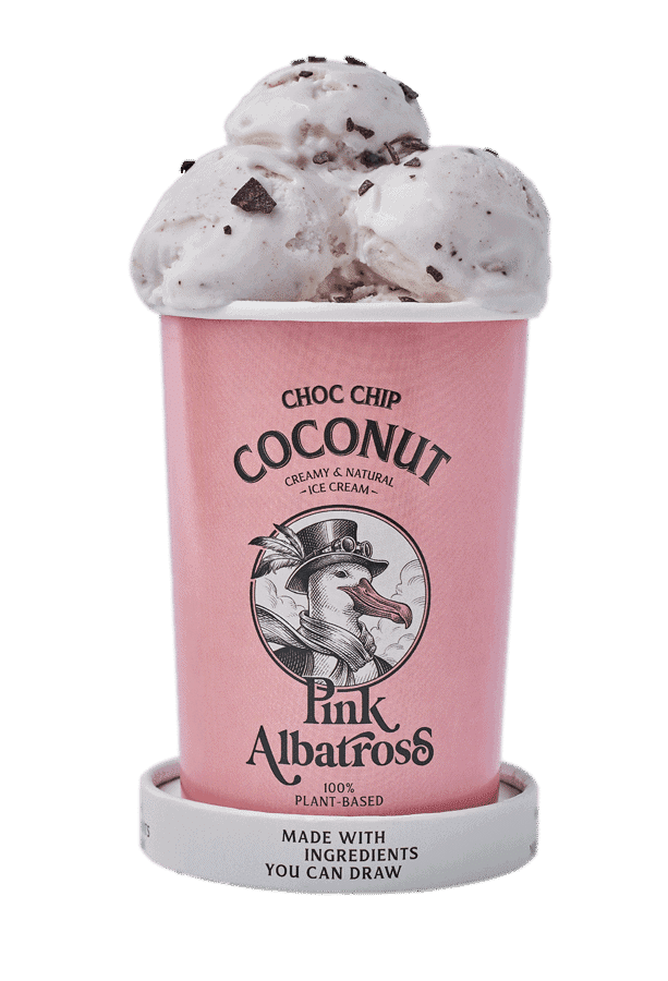 Choc Chip Coconut Flavour · Pink Albatross - Ice Cream
